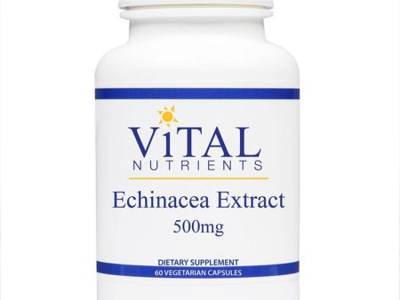 Vital Nutrients Echinacea Extract 4% 500mg For Sale