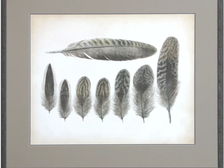 Vintage Feathers VIII Cheap