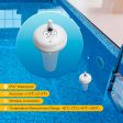 Remote Pool Thermometer Set IBS-P01R For Sale