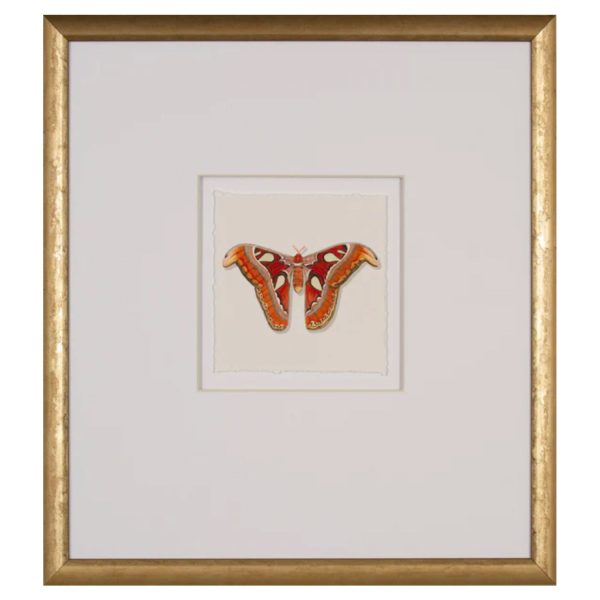 Watercolor Moth II Online Sale