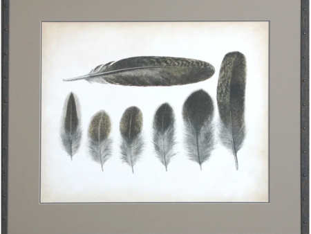 Vintage Feathers VI For Discount