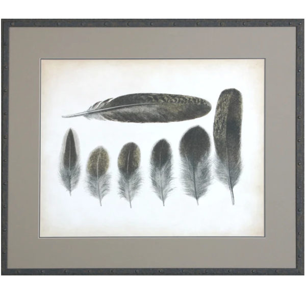 Vintage Feathers VI For Discount