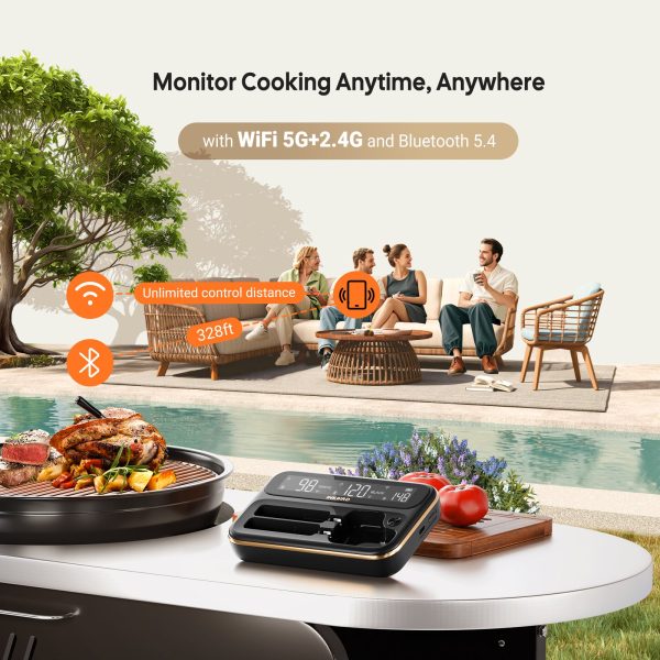 WiFi & Bluetooth Meat Thermometer INT-12-BW Sale