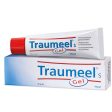 Heel Traumeel S Gel Online now