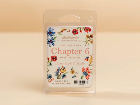 Chapter 6 - Guest Bedroom Wax Melt Cheap