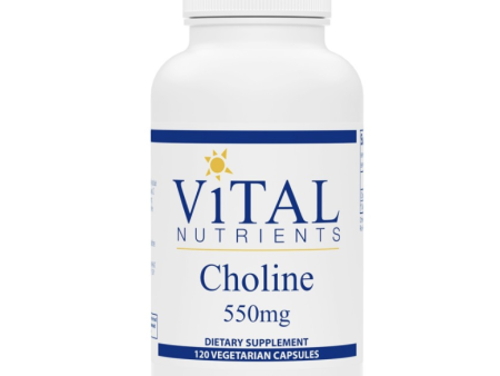 Vital Nutrients Choline 550MG For Cheap