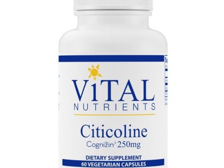 Vital Nutrients Citicoline Cognizin 250mg Online Hot Sale