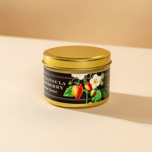 Ponchatoula Strawberry 5 oz. Candle For Sale