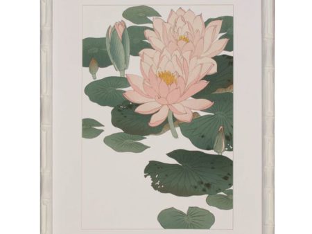 Water Lilies Online now