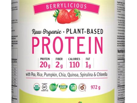 VEGIDAY Protein - Very Berry (972 g) Online now