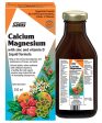 SALUS Calcium Magnesium (250 ml) Online