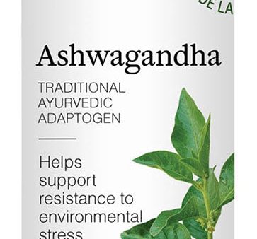 ST FRANCIS HERB FARM Ashwagandha (100 ml) Online now