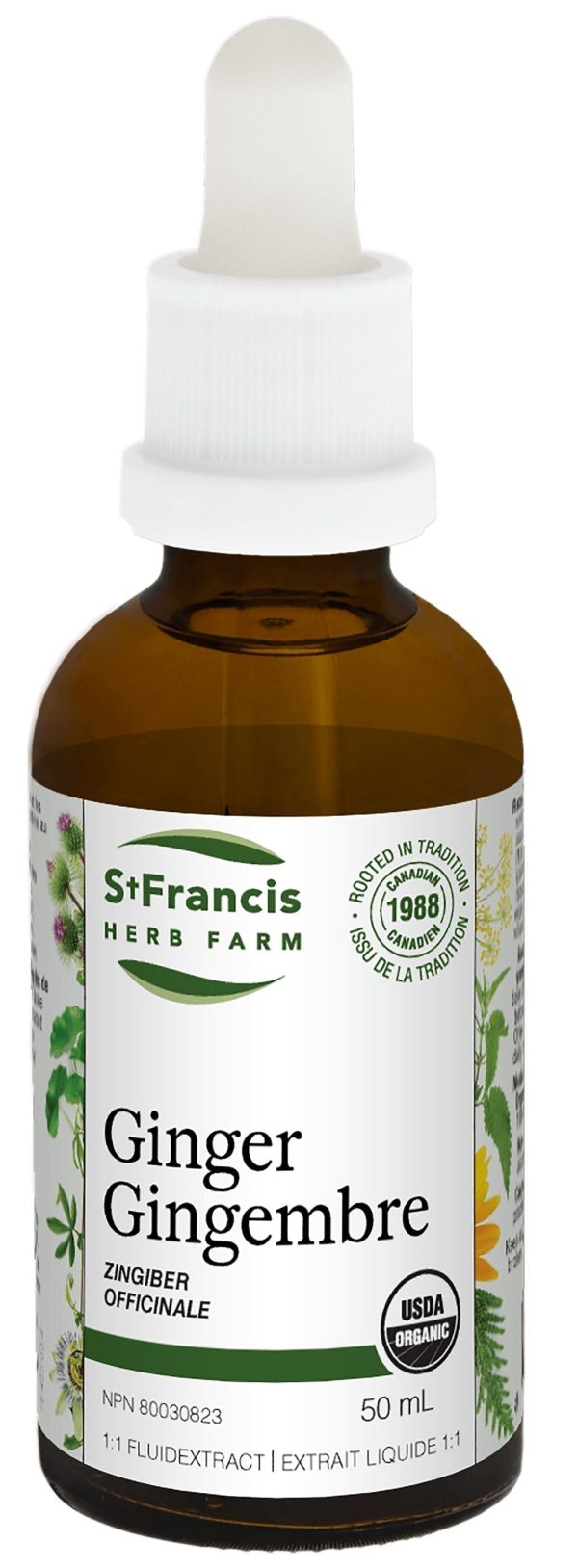 ST FRANCIS HERB FARM Ginger (50 ml) Online Hot Sale