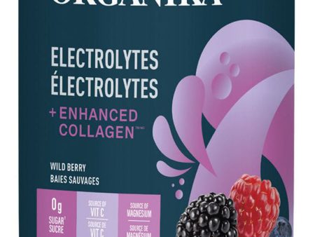 ORGANIKA Electrolytes + Enhanced Collagen (Wild Berry - 360 gr) For Discount