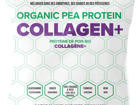 SCHINOUSSA Pea Collagen (Unflavoured - 360 g) For Cheap