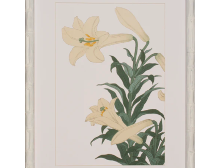 White Lilies Online now