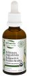 ST FRANCIS HERB FARM Echinacea Angustifolia (50 ml) Online Hot Sale