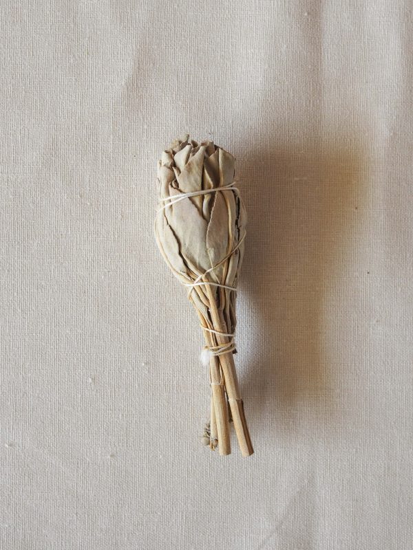 White Sage Smudge - Medium Online now