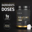 Creatine Monohydrate Elite Online Sale