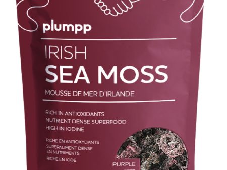 PLUMPP - Irish Sea Moss Purple (120 gr) For Sale