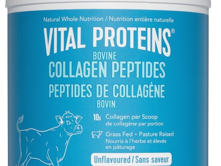 VITAL PROTEINS Bovine Collagen Peptides (Unflavoured - 567 gr) Fashion