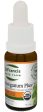 ST FRANCIS HERB FARM Oréganum Plus 1:3 (15 ml) Discount