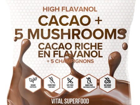 SCHINOUSSA High Flavanol Cacao with Mushrooms (300 g) on Sale